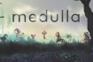 Medulla(v5685781)
